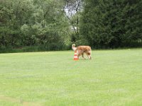 Bendix und das Boxband (88)